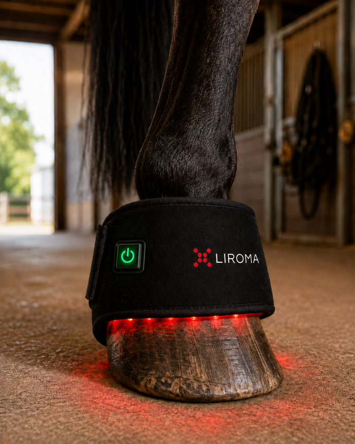 The Hoof