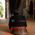 The Hoof (Rood licht therapie) - Roodlichttherapie voor de hoef van het paard