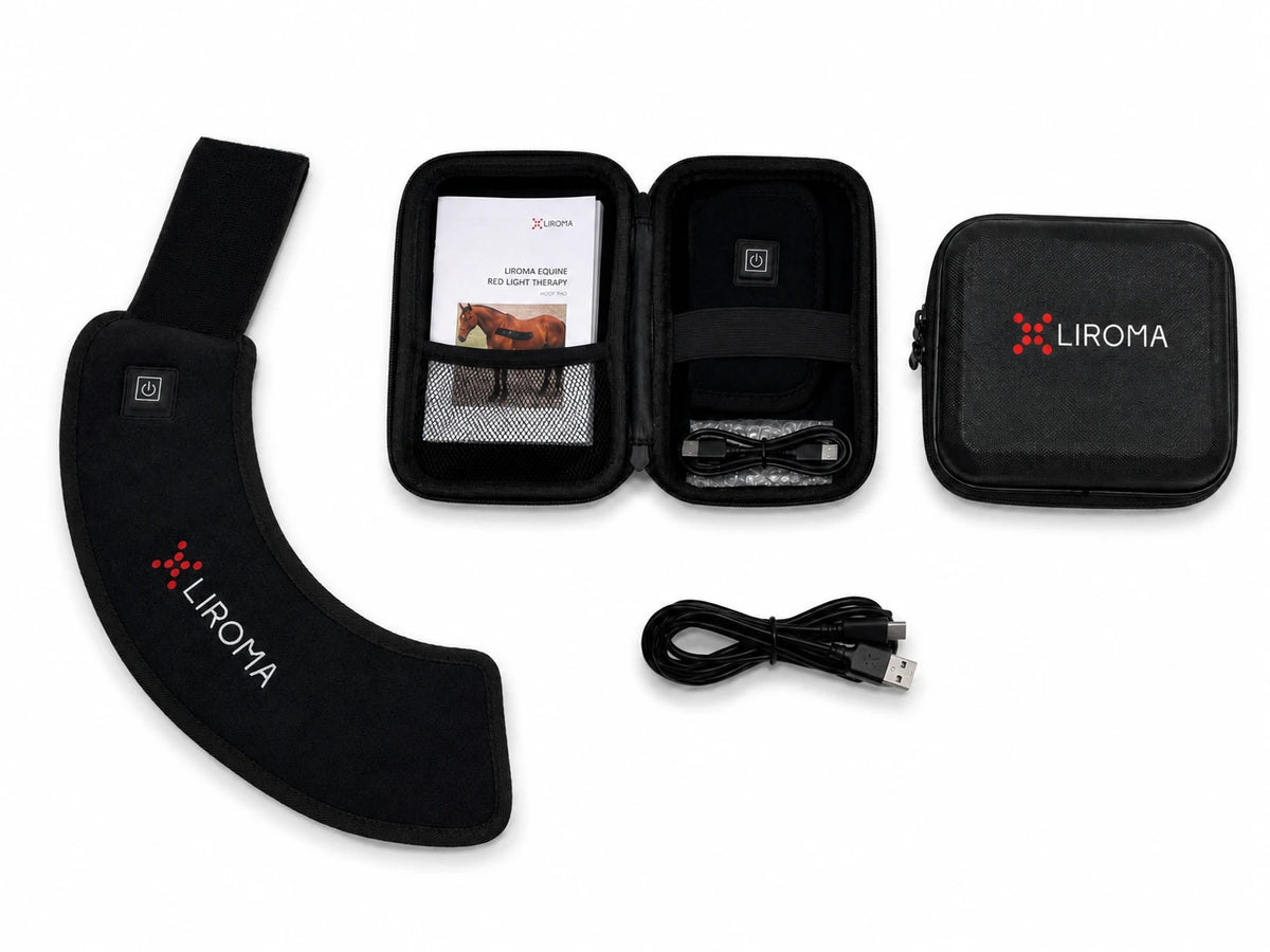 Leveringsomvang The Hoof van bovenaf: pad, open en gesloten case, kabel, handleiding