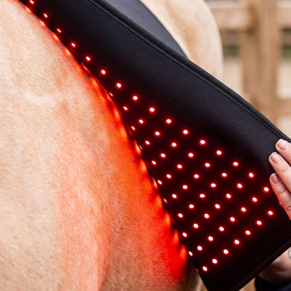 The Flex (Rood licht therapie) - Rood licht therapie voor het lichaam van het paard