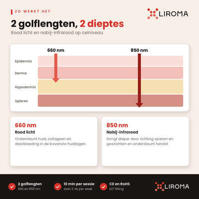 Doorsnede van de huidlagen die laat zien hoe diep 660 en 850 nm doordringen